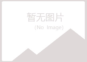 阳江字迹邮政有限公司